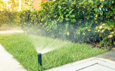 Simple Ways to Conserve Water This Summer
