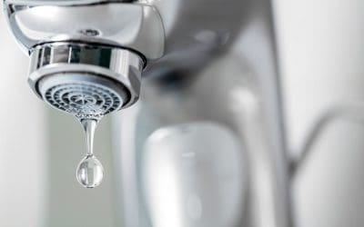Stop the Drip: Confident DIY Fixes for Common Plumbing Issues